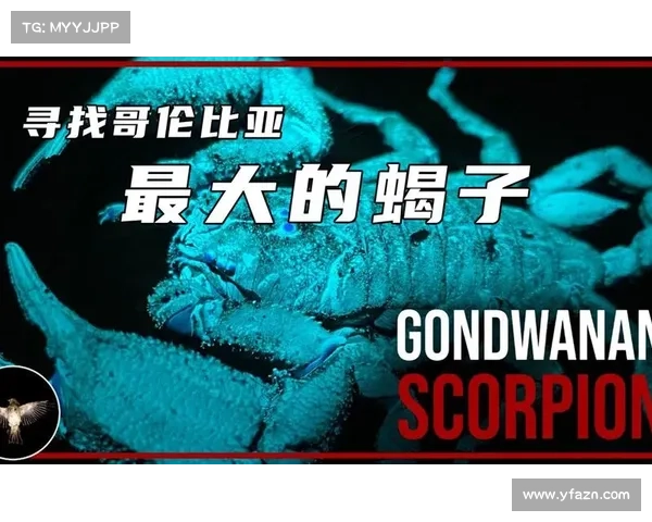 掌握蝎子打野的关键技巧助你快速提升胜率轻松制胜 掌握蝎子打野的关键技巧助你快速提升胜率轻松制胜